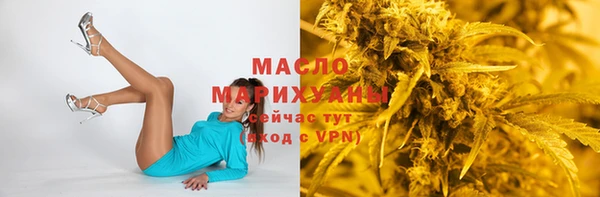 прущие грибы Ельня