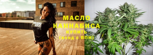 прущие грибы Ельня