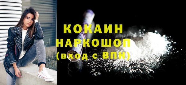 прущие грибы Ельня