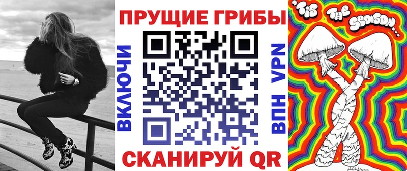 Купить закладки  Северск  Галлюциногенные грибы MAGIC MUSHROOMS 